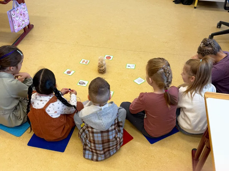 Schule-am-Ipf-SprachFit-1 Schule am Ipf - SprachFit